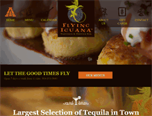 Tablet Screenshot of flyingiguana.com